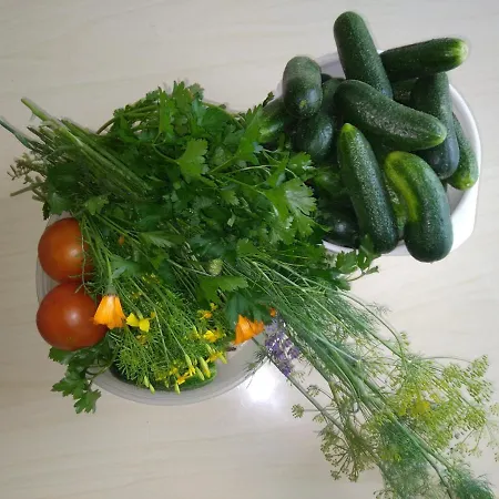 Perepuhkus Tatil Evi *