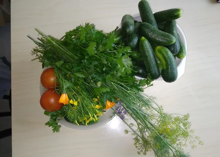 Perepuhkus Dom wakacyjny *