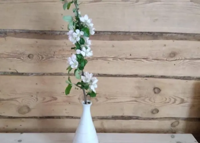 Dom wakacyjny Perepuhkus