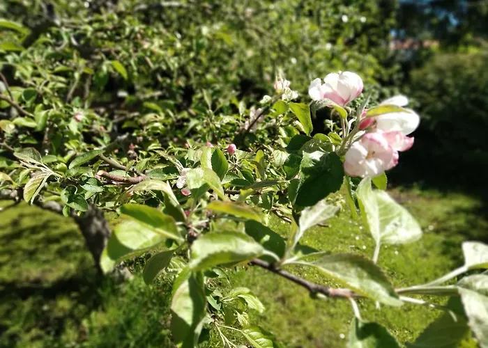 Dom wakacyjny Perepuhkus