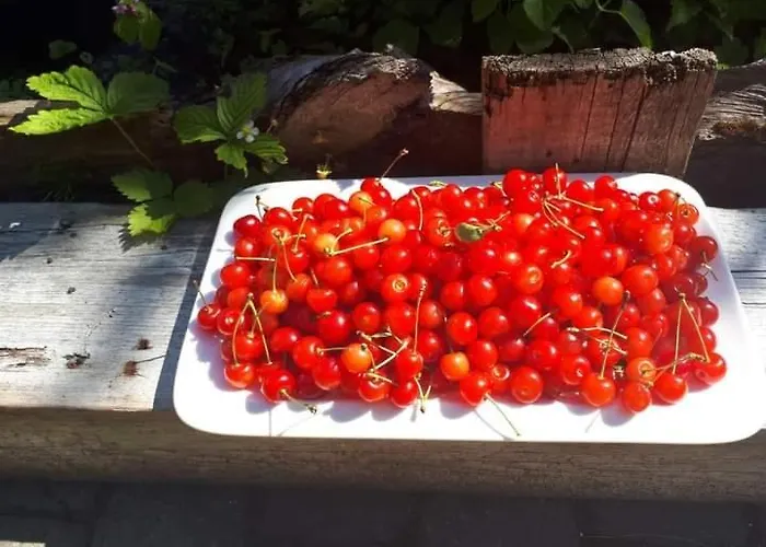 Dom wakacyjny Perepuhkus *